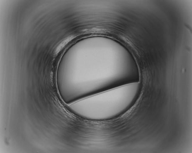 X0000101661066200807101019