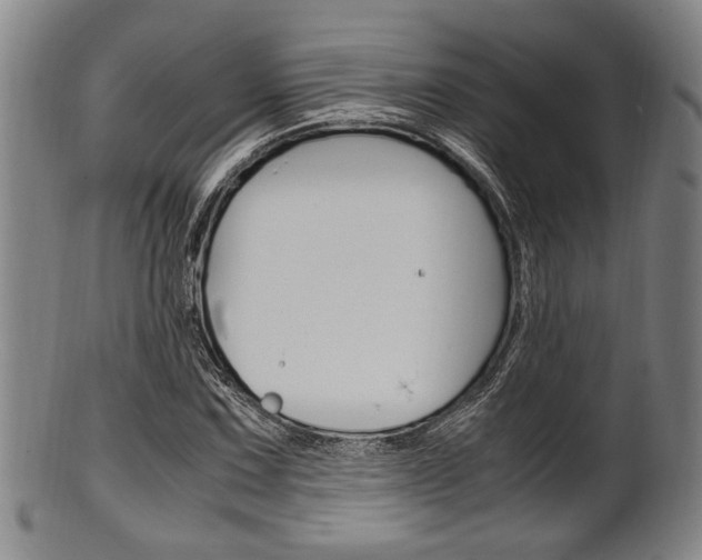 X0000101661067200807101019