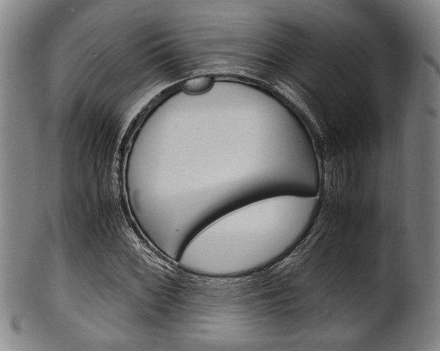 X0000101661068200807101019