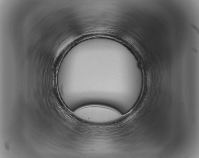 X0000101661069200807101019