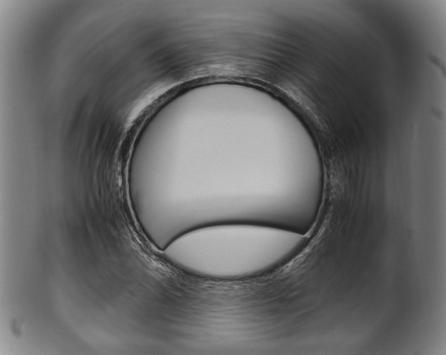 X0000101661070200807101019
