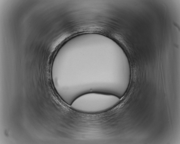 X0000101661071200807101019