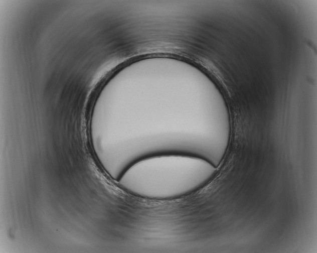 X0000101661072200807101019