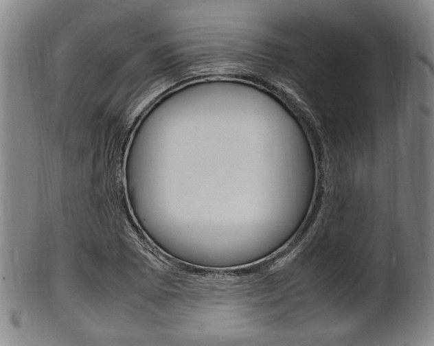 X0000101661073200807101019