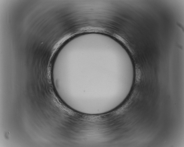 X0000101661074200807101019