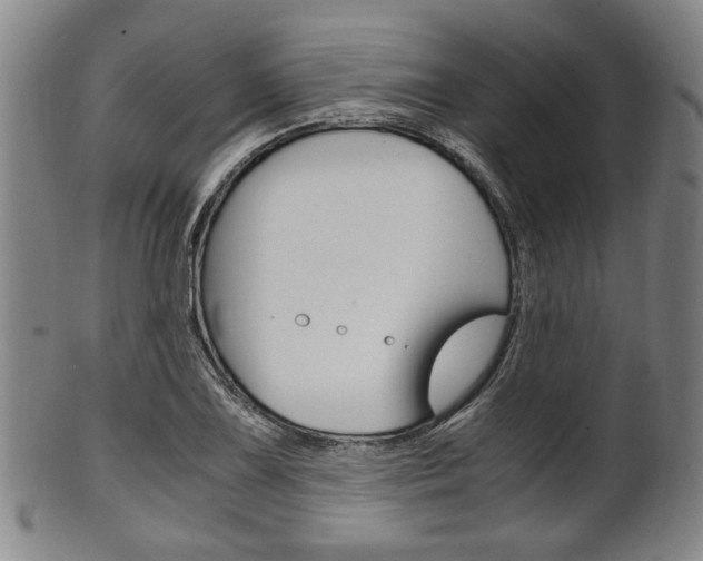 X0000101661075200807101019