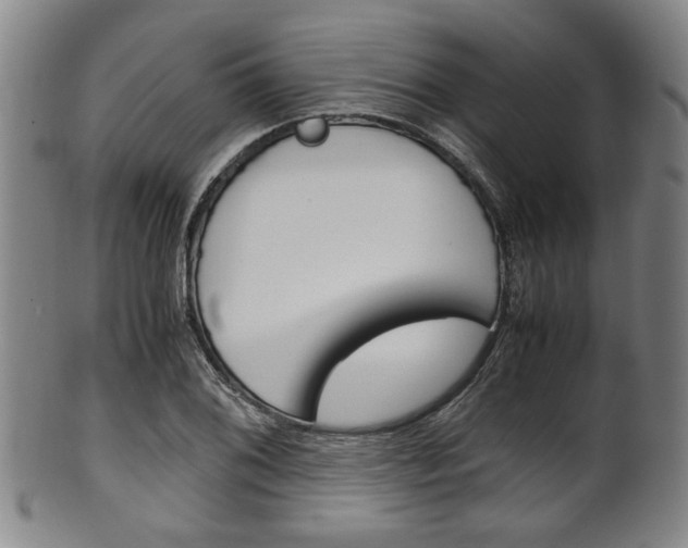X0000101661076200807101019