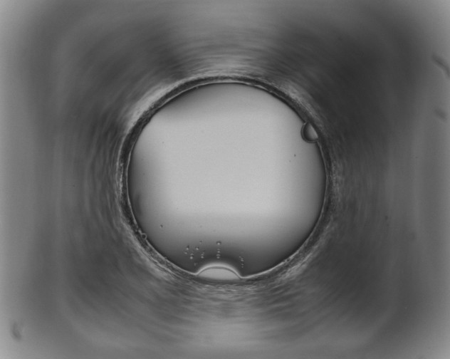 X0000101661077200807101019