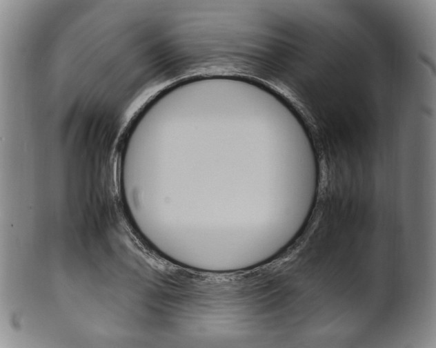 X0000101661078200807101019