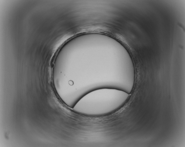 X0000101661079200807101019