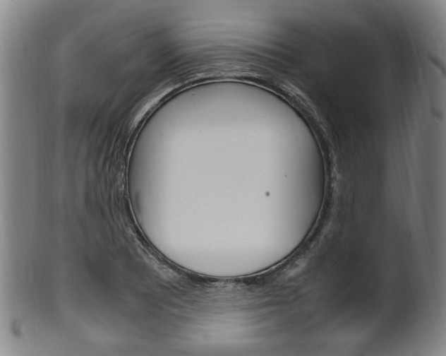 X0000101661081200807101019