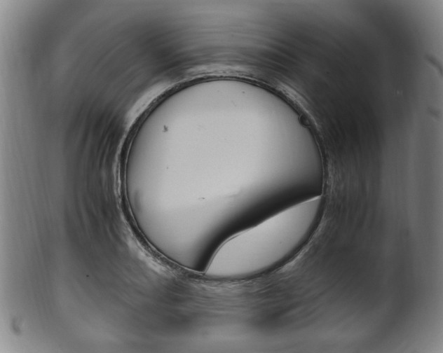 X0000101661082200807101019