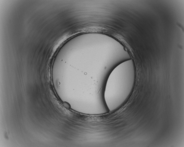 X0000101661083200807101019