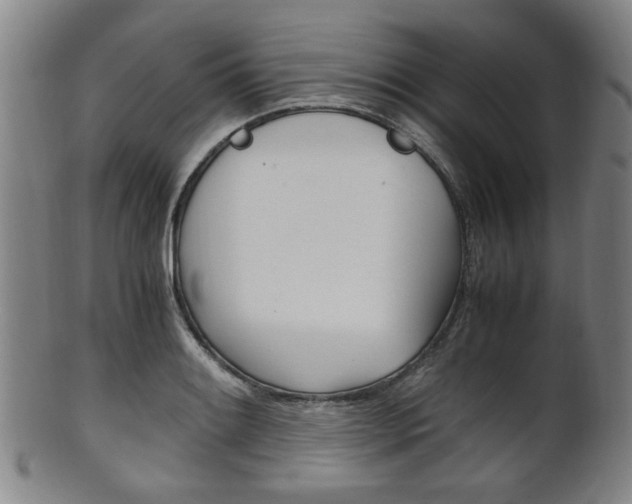 X0000101661084200807101019