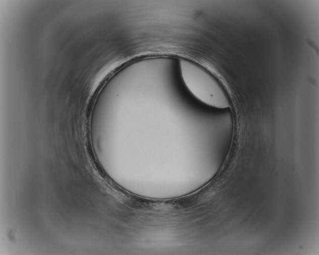 X0000101661085200807101019