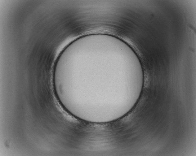 X0000101661086200807101019