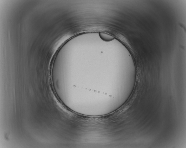 X0000101661087200807101019