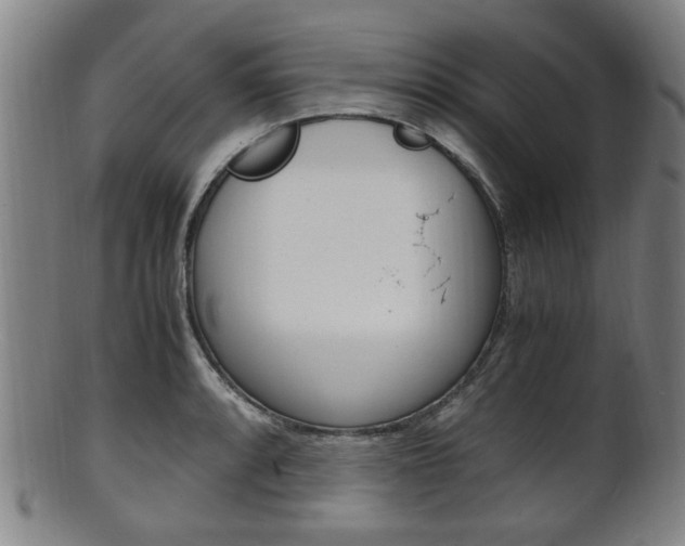 X0000101661088200807101019