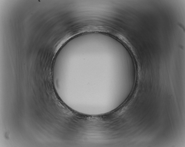 X0000101661089200807101019