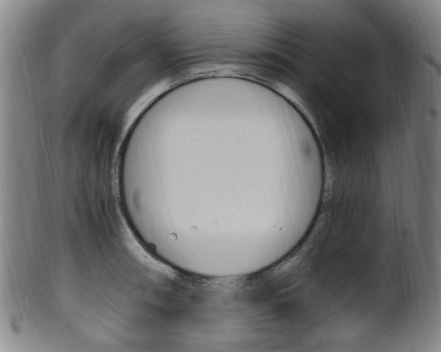 X0000101661090200807101019