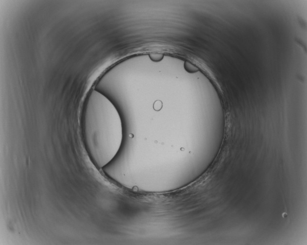X0000101661091200807101019
