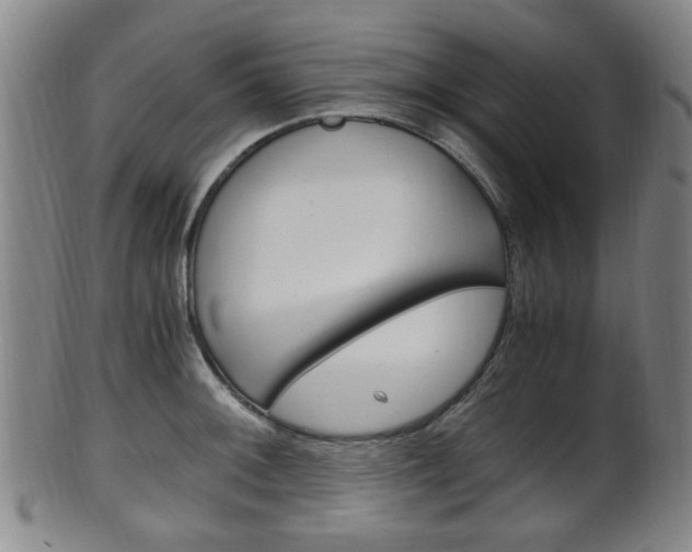 X0000101661092200807101019