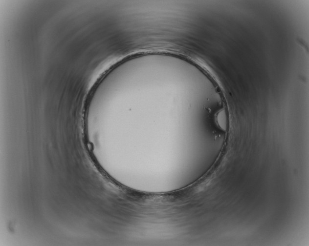 X0000101661093200807101019