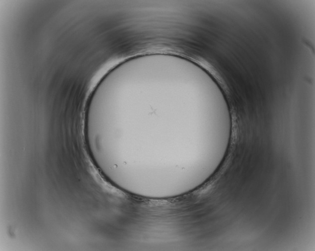 X0000101661094200807101019