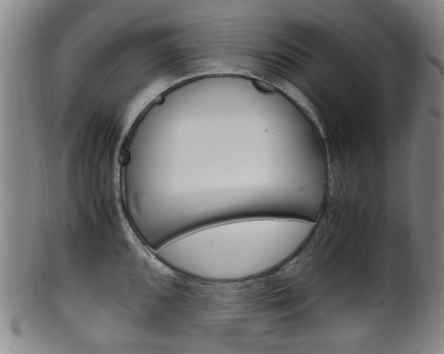 X0000101661096200807101019
