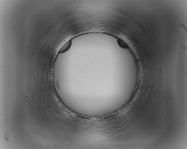 X0000101661097200807101019