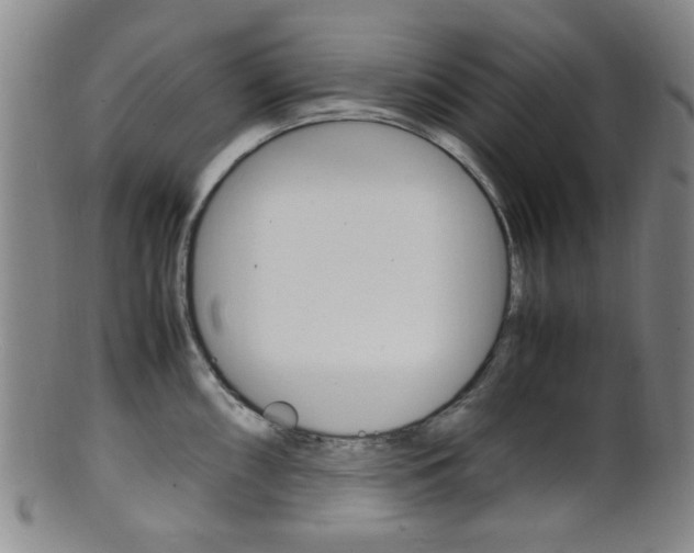 X0000101661098200807101019