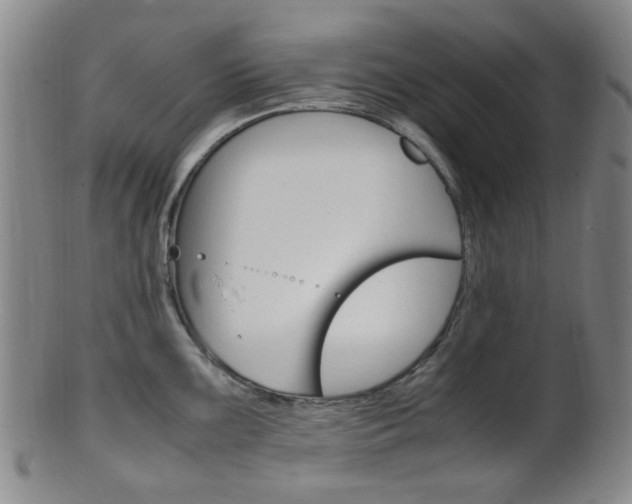 X0000101661099200807101019