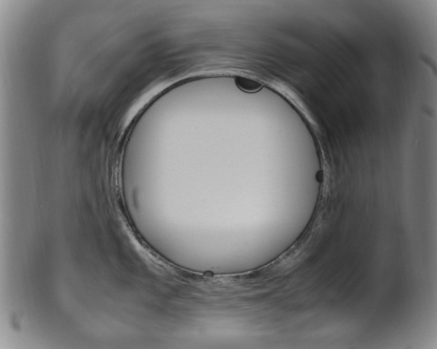 X0000101661101200807101019