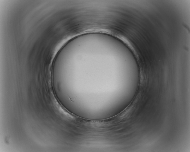 X0000101661102200807101019
