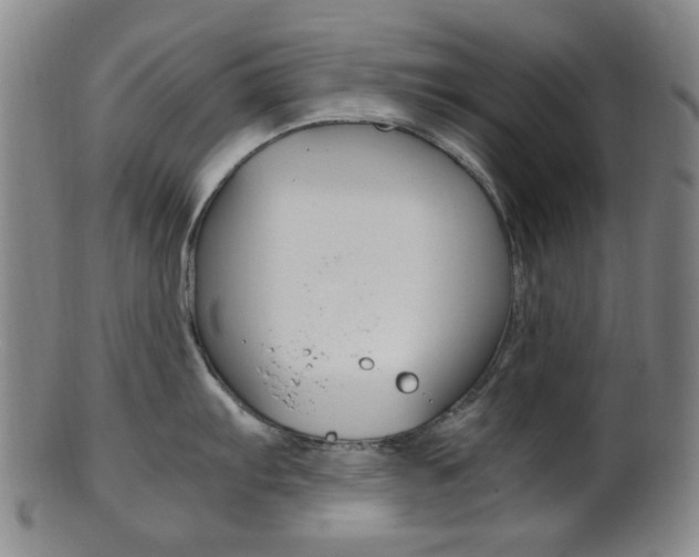 X0000101661103200807101019