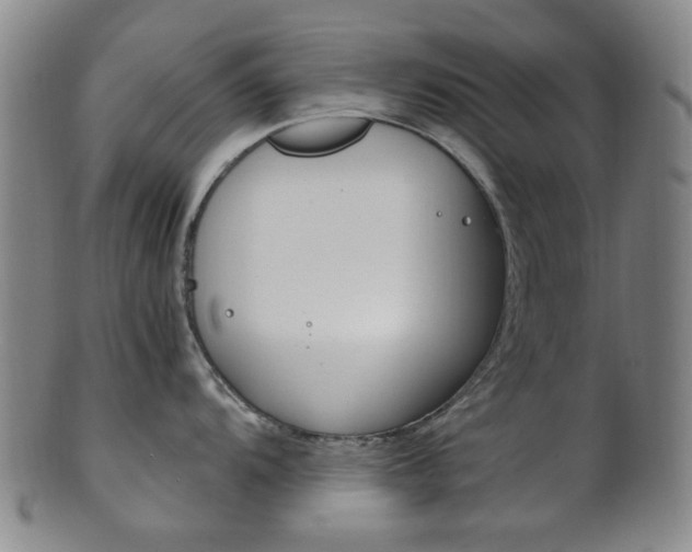 X0000101661104200807101019