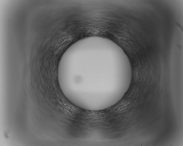 X0000101661105200807101018