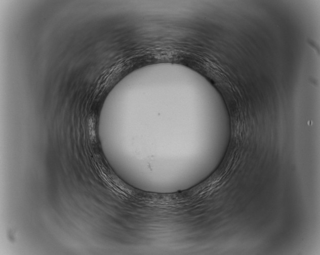 X0000101661106200807101018