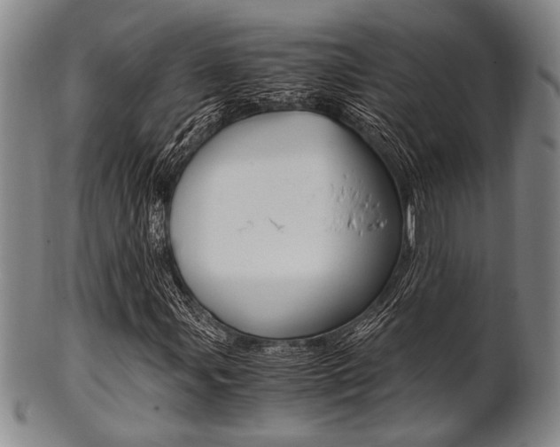 X0000101661107200807101018
