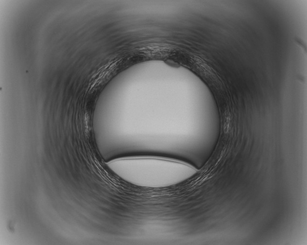 X0000101661108200807101018