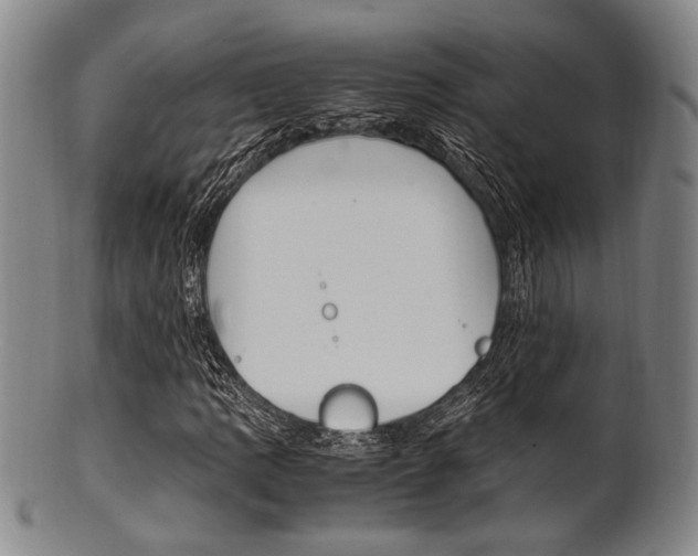 X0000101661109200807101018
