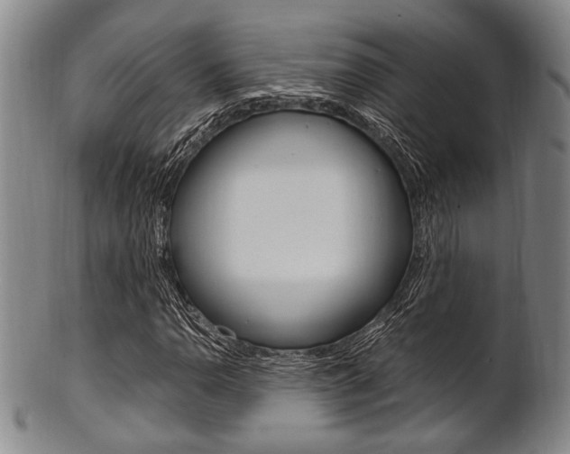 X0000101661110200807101018