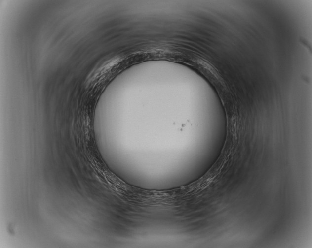 X0000101661111200807101018