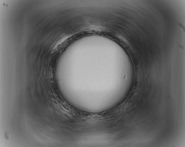 X0000101661112200807101018