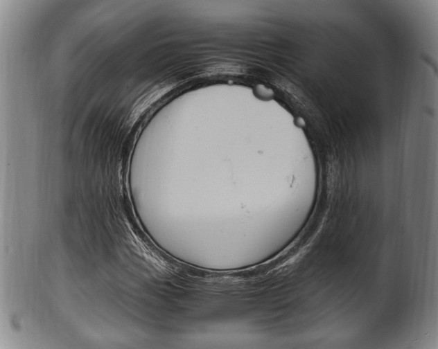X0000101661113200807101018
