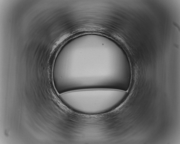 X0000101661114200807101018