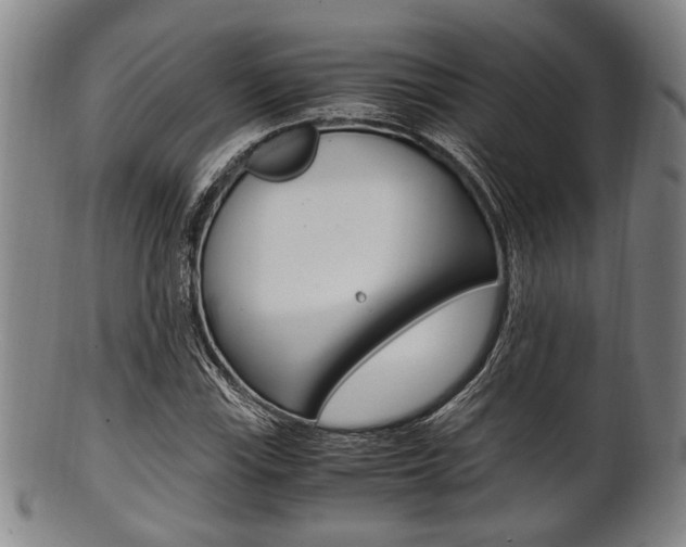 X0000101661115200807101018