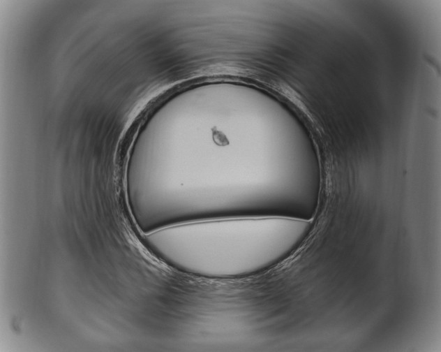 X0000101661116200807101018
