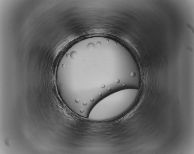 X0000101661117200807101018