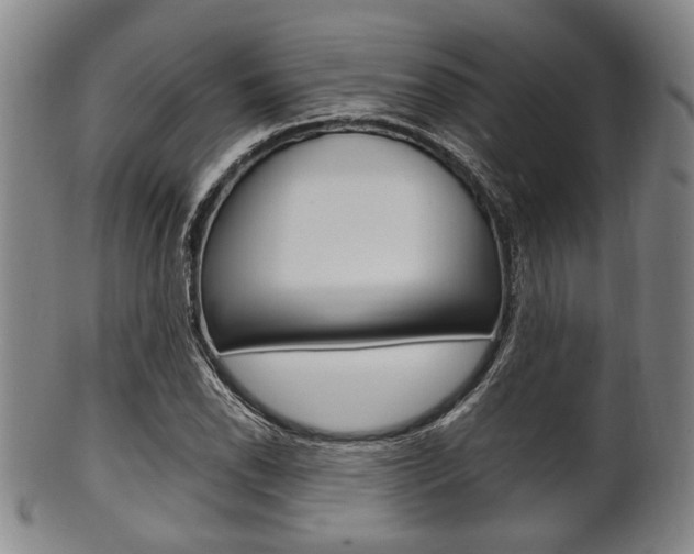 X0000101661118200807101018